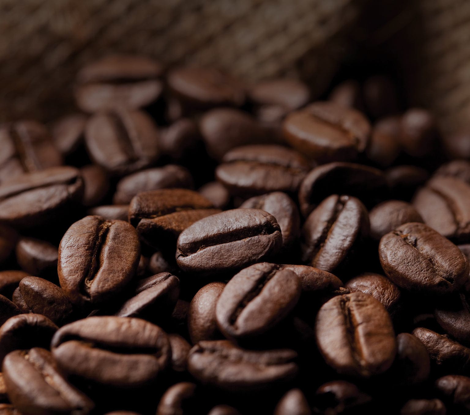 Tisane Moka/Miel – Image 4