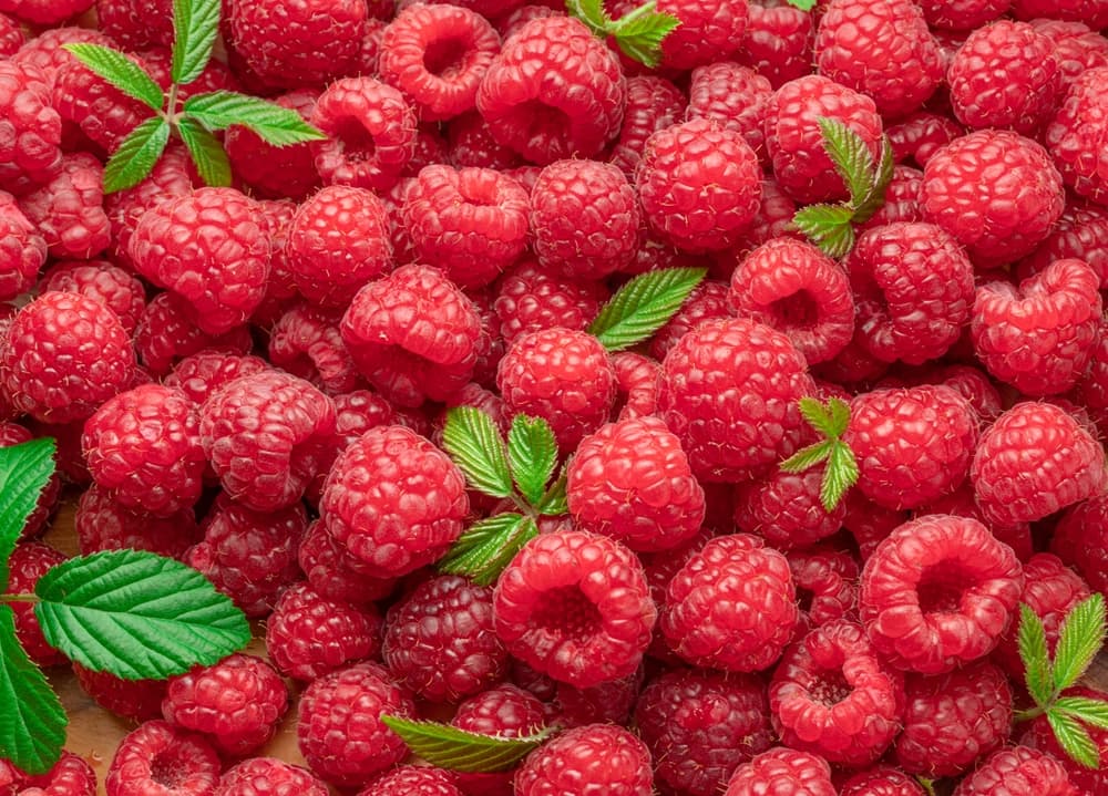 Confiture Extra de Framboises – Image 2